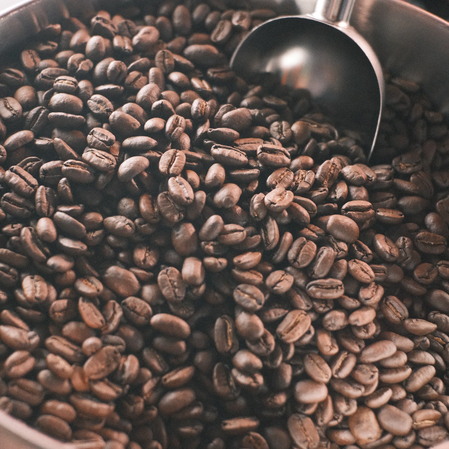 yirgacheffe banko gotiti