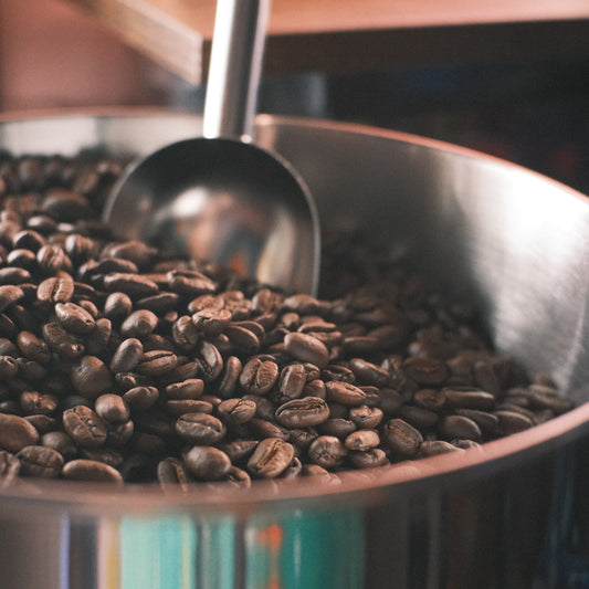 yirgacheffe banko gotiti